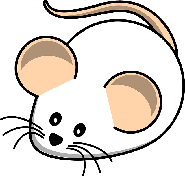 mouse-g9d4a35306_640
